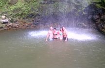 St. Lucia Tet Paul Nature Trail Tour