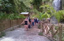 St. Lucia Tet Paul Nature Trail Tour