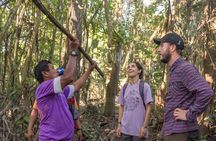 Discover the Amazon for 3 Days 2 Nights