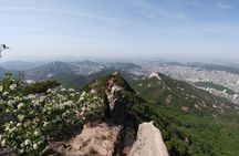 Bukhansan Mountain Private Hike with Lunch