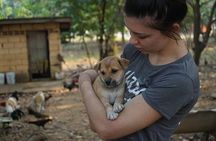 Rescue P.A.W.S. Day Visit 