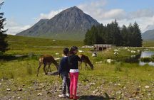 Greenock Private Tour Stirling Castle & Loch Lomond