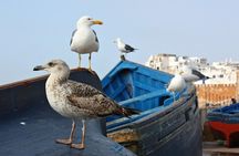 Private Day Tour To Essaouira 