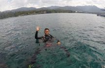 Bali Scuba Diving at Padang Bai for Certified Diver