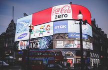London by Night Independent Sightseeing Tour with Private Driver
