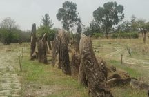 Day Trip to Tiya UNESCO Site & Melka Kunture Archaeological Site 