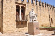 Mosque, Alcazar and Juderia Ticket Included Skip the Line