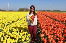Amsterdam Private Tour to Keukenhof, Tulip Fields and Windmills