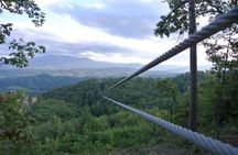 7-Line Zipline Experience in Sevierville