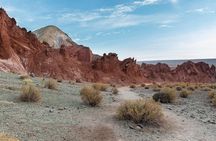 Rainbow Valley Tour, Yerbas Buenas Petroglyphs - Half Day Tour