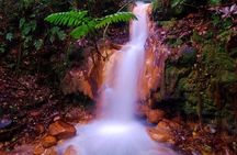 Blue River Hot Springs Adventure in Rincon de la Vieja from Dreams Las Mareas