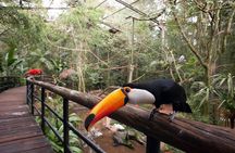 Bird Park & Iguassu Brazilian Side From Puerto Iguazú Hotels - Private Tour