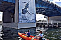 Seven Isles Tour & Exclusive Fort Lauderdale Mangrove & ECO Paddle Board / Kayak