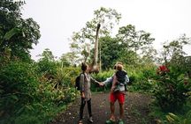 Dino Park & Blue River Resort in Rincon de la Vieja from Liberia