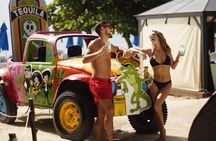 Cozumel Shore Excursion: Playa Uvas Private Beach Pass