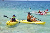 Cozumel Shore Excursion: Playa Uvas Private Beach Pass
