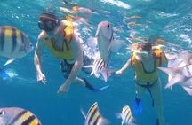Cozumel Shore Excursion: Playa Uvas Private Beach Pass