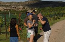 The Sedona Experience - Hiking, Lunch and Wine Tasting (Private Tour)