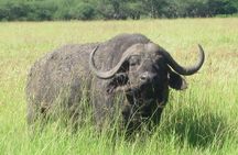 7 - Days Fascinating Tanzania Safari