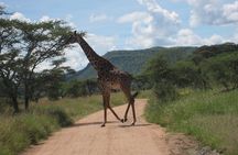 7 - Days Fascinating Tanzania Safari