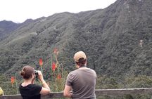 Cocora Valley: Birding & Hiking with Breakfast & Lunch