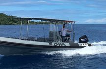 Private Whale Watching Tour in Bora Bora
