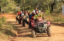 Quads ATV Off Road Adventure 