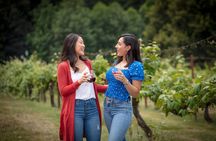 Woodinville Wine and Snoqualmie Falls Day Tour 