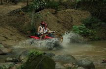 Quads ATV Off Road Jungle Adventure