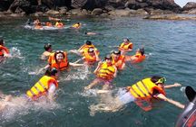Cham Island Snorkeling Tour
