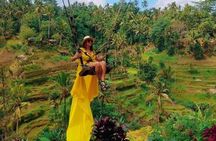 Best of Bali Jungle Swing with Ubud Sightseeing Tour 