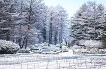 One Day Private Tour-Nami Island, Petite and Garden of Morning Calm(Incl. Lunch)