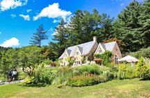 One Day Private Tour-Nami, Petite and Garden of Morning Calm