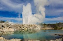 Auckland to Hobbiton Movie Set and Rotorua's Geothermal Valley