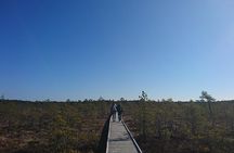 Go North – Private 1 Day Trip to Estonian Nature