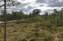 Go North – Private 1 Day Trip to Estonian Nature