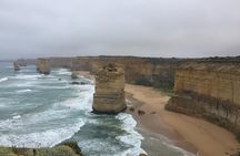 Private Tour of The Great Ocean Road. Please Email if more than 6