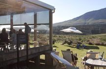 Hemel-en-Aarde Wine Tour