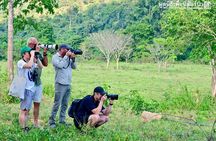 Hua Hin : Wildlife Friend Foundation Day Trip