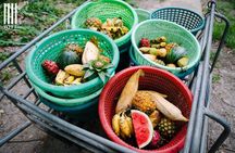 Hua Hin : Wildlife Friend Foundation Day Trip