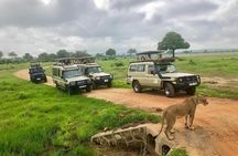 3 Days 2 Nights Adventures At Mikumi National Park