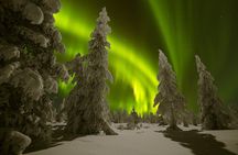 Northern Lights Picnic by Car from Rovaniemi