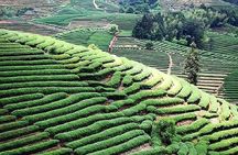 Tianluokeng Tulou Village Private Day Trip from Xiamen with Lunch