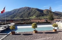 Private Colchagua Valley wine tour all inclusive from Santiago