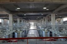 Private Colchagua Valley wine tour all inclusive from Santiago