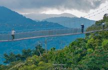 One Day Nyungwe National Park Tour& Canopy walk (2 Pax Min)