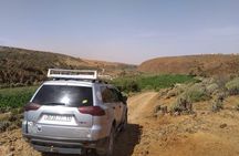 Desert and Ocean Private Day Tour