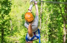Small-Group 7-Line Zipline Activity at Sevierville Nature Park