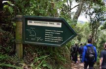 2 Days Chimpanzees trekking Tour and Canopy walk Adventure