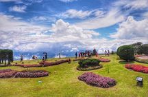 Doi Inthanon Day Trip:Twin Pagodas,Soft Hiking,Coffee Plantation 